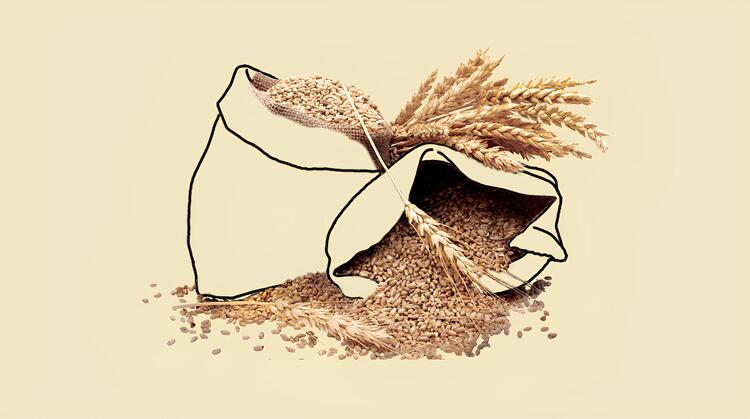 Урок пам’яті про Голодомор: як в умовах війни говорити з учнями на чутливу тему та не травмувати їх