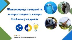 Жива природа на екрані: як використовувати камери Explore.org на уроках