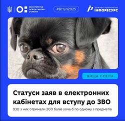 Статуси заяв в електронних кабінетах для вступу до ЗВО