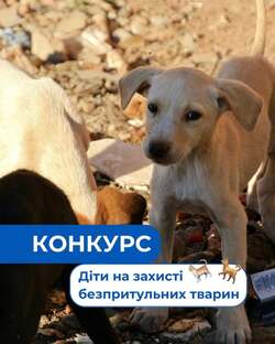 Конкурс “Діти на захисті тварин”