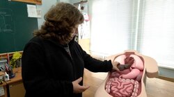 У Черкасах студенти виготовили тактильні макети для школярів з порушенням зору