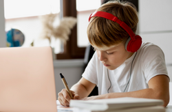 МОН створить платформу для проведення шкільних іспитів