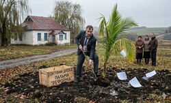 Про мавпування, яке  стало традицією і… великою бідою для освіти
