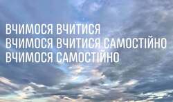 Наша 12-бальна за рівнями досягнень принципово продвинута, порівняно з "фінським" варіантом "за групами результатів"