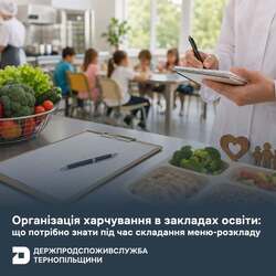 Організація харчування в закладах освіти: що потрібно знати під час складання меню-розкладу