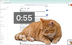 Контролюємо час, проведений у соціальних мережах з Cat Gatekeeper﻿ - розширенням для Google Chrome